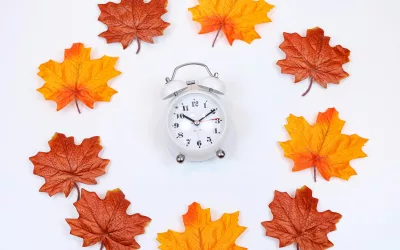 Changement d’Heure d’Automne : 5 Conseils Nutritionnels pour Éviter la Fatigue et Booster l’Immunité