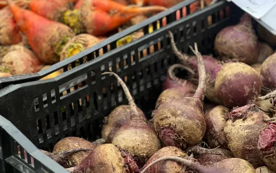 Alimentation durable à Paris