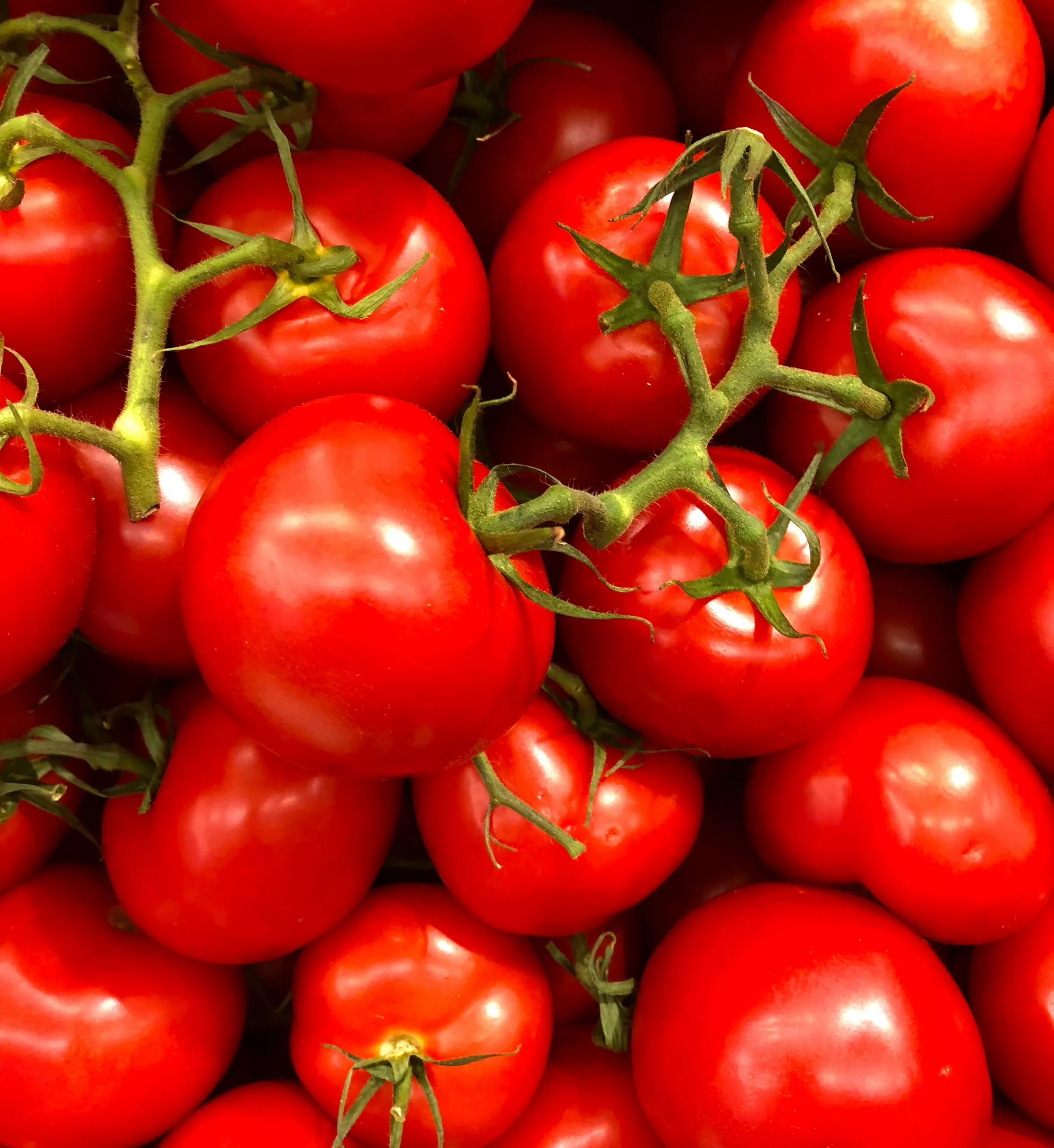 tomate, bienfaits nutritionnels