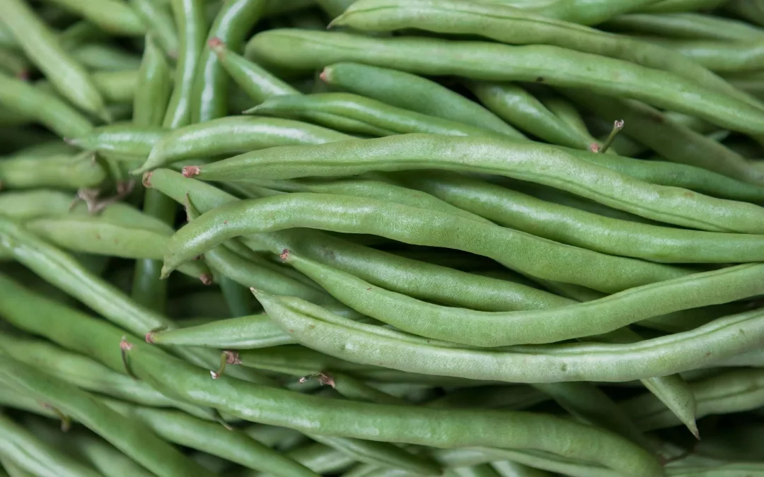 Les haricots verts