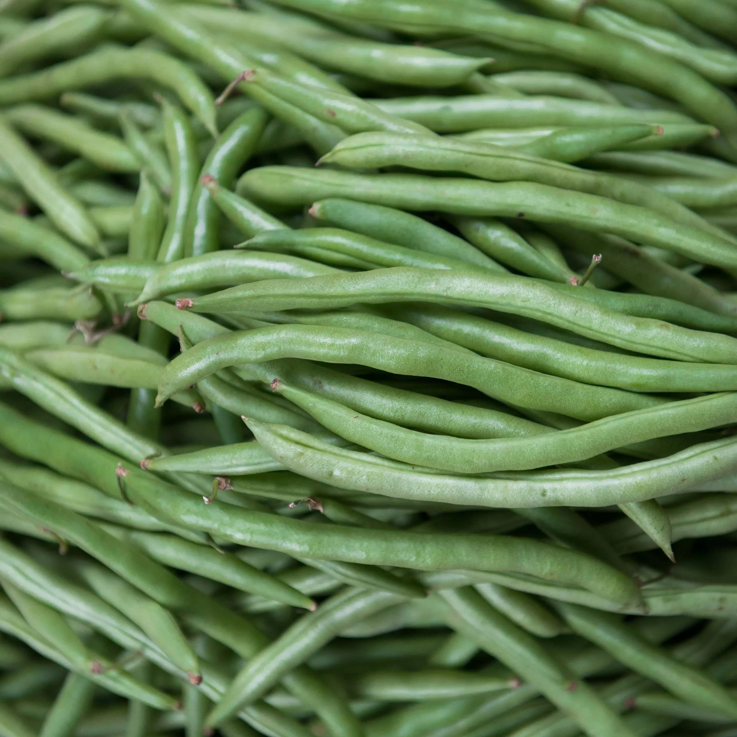 NUTRITIONNISTE PARIS HARICOTS VERTS